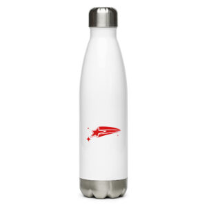 Stainless steel water bottle "Falling Star"