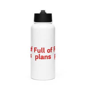 Stainless steel water bottle with a straw lid "Full of plans"