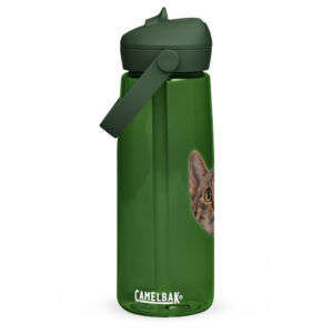 Flip straw water bottle