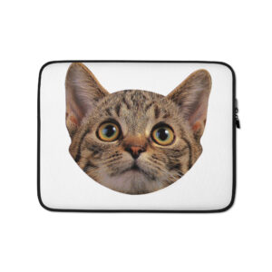 Laptop Sleeve