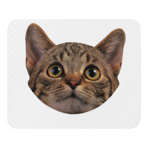 Mouse pad