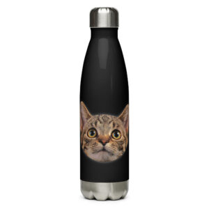 Stainless steel water bottle