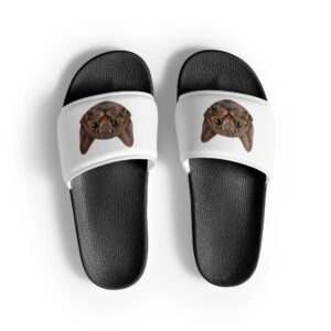 Curious Cat Comfort Slides